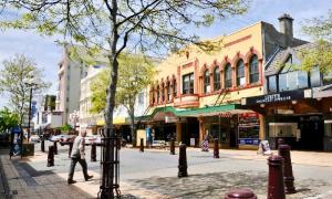 NZEGA Estudar Intercambio Nova Zelandia2