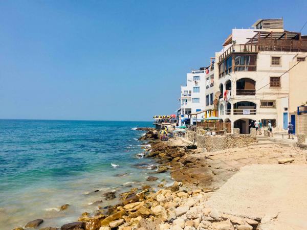 NZEGA Agencia de viagem Nova Zelandia